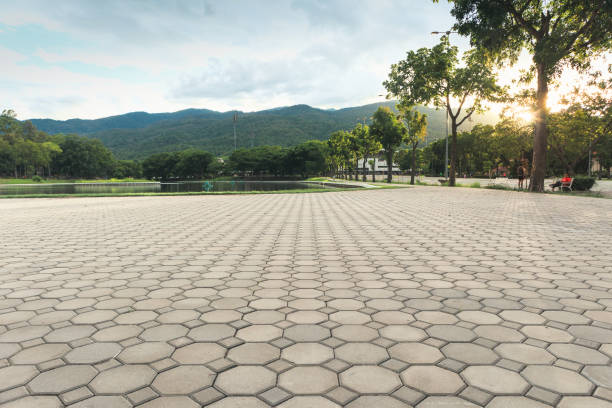 Best Decorative Driveway Pavers  in Hopkins, SC